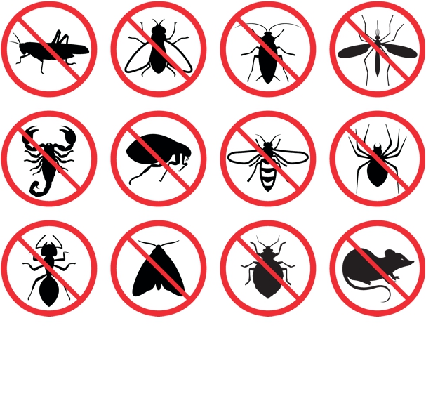 Schädlingsbekämpfung - Clean Concept GmbH